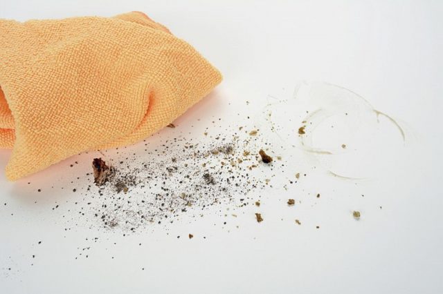 Czyściwo Tork – jak wybrać najlepszy materiał do sprzątania?