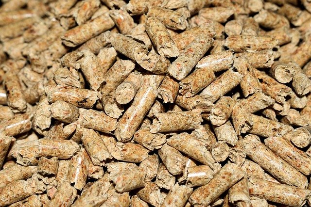 Jaki opał najlepiej wybrać do ogrzania Twojego domu?